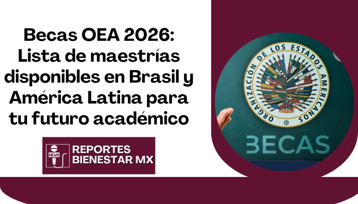 Becas OEA 2026: Lista de maestrías disponibles en Brasil y América Latina para tu futuro académico