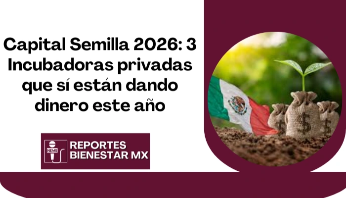 Capital Semilla 2026: 3 Incubadoras privadas que sí están dando dinero este año