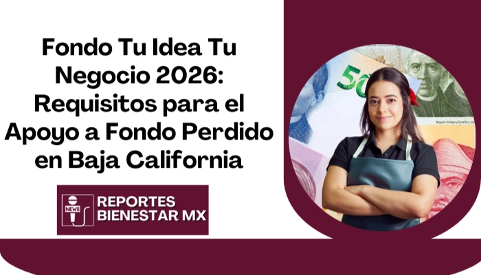 Fondo Tu Idea Tu Negocio 2026: Requisitos para el Apoyo a Fondo Perdido en Baja California