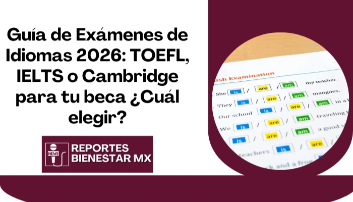 Guía de Exámenes de Idiomas 2026: TOEFL, IELTS o Cambridge para tu beca ¿Cuál elegir?