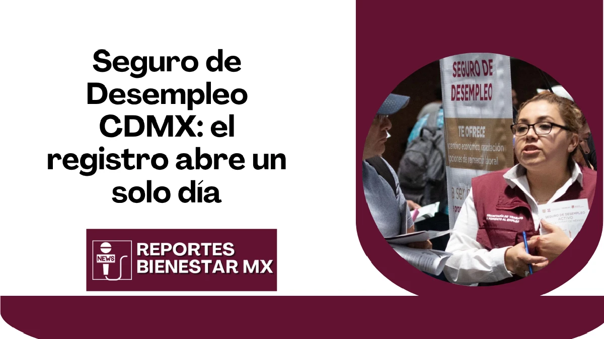 seguro de desempleo cdmx