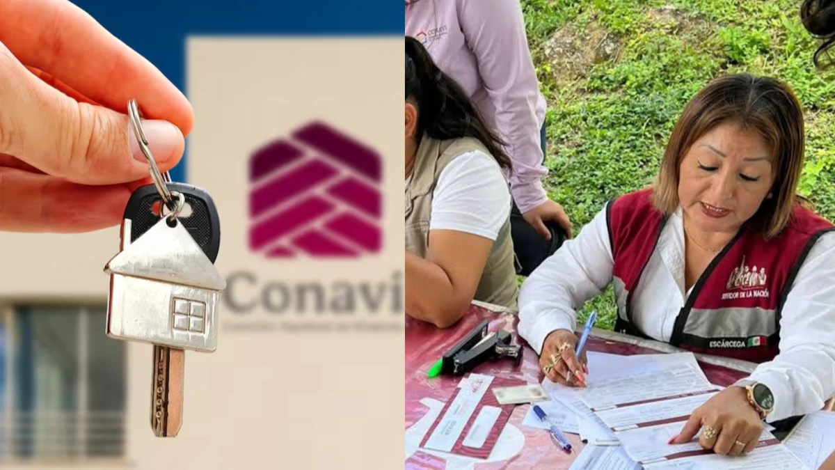 módulos vivienda para el bienestar 2026